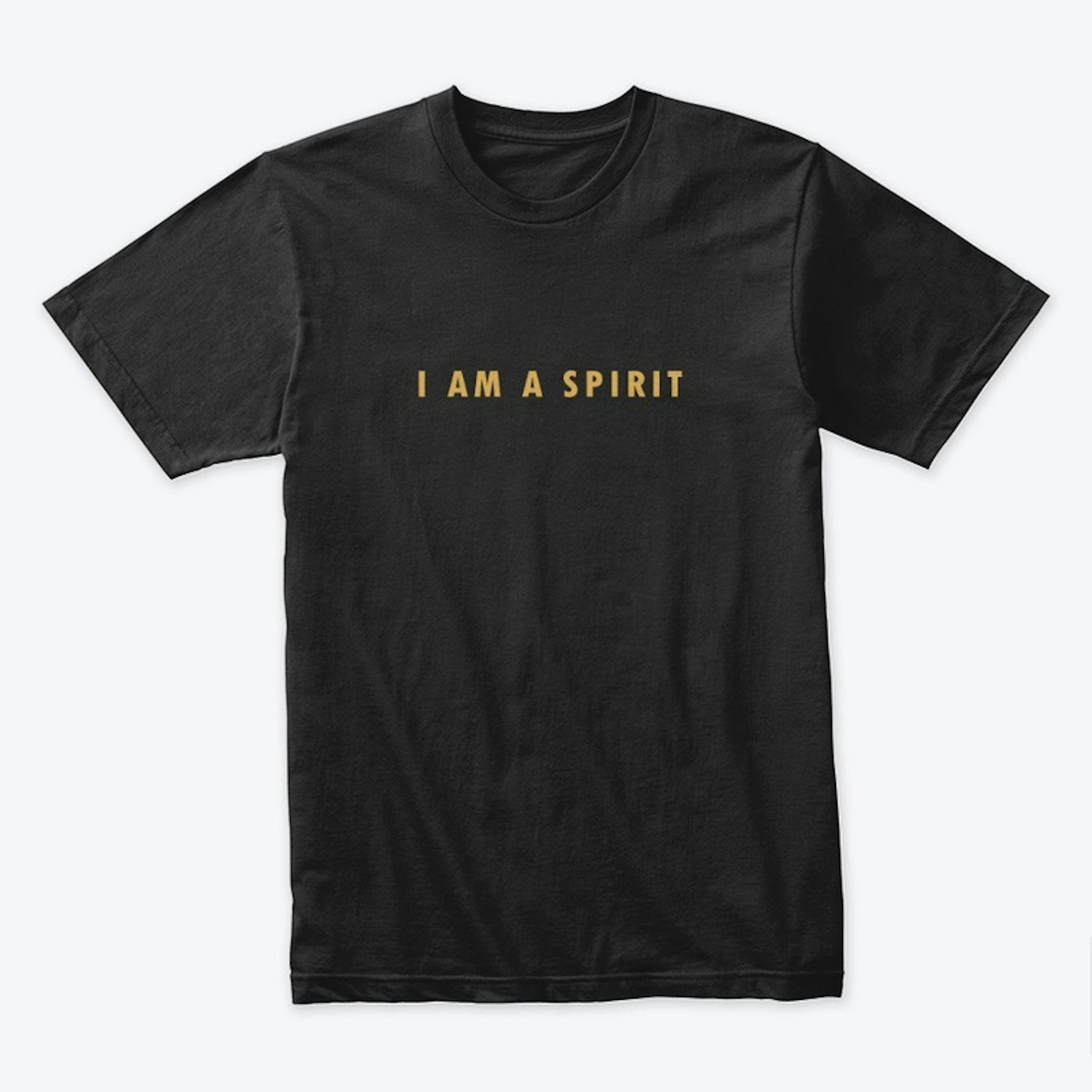 I Am A Spirit - Logo on Back